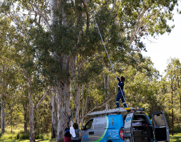RSPCA rescuing bat from tree